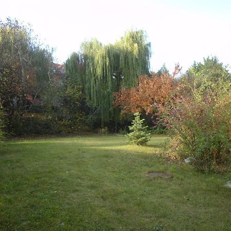 Aulich Apartman 미슈콜츠 외부 사진